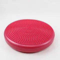 Aeromat Balance Disc Cushion Pink Exercise Gear