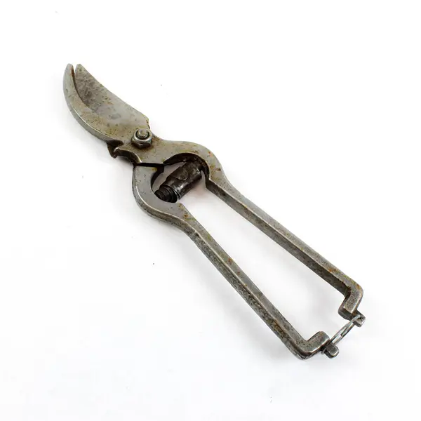 Vintage Forged Steel Hand Pruning Shears Rust Spots Garden Tool