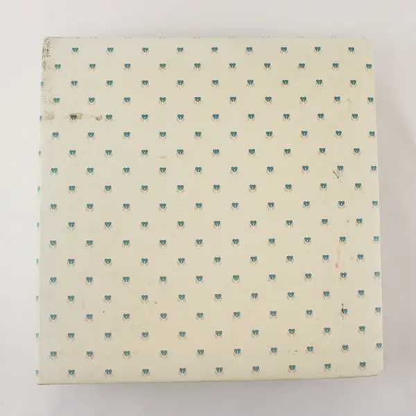 Vintage 80's Unbranded Large 3 Ring Binder Photo Album - 11"x11" - 106 Pages