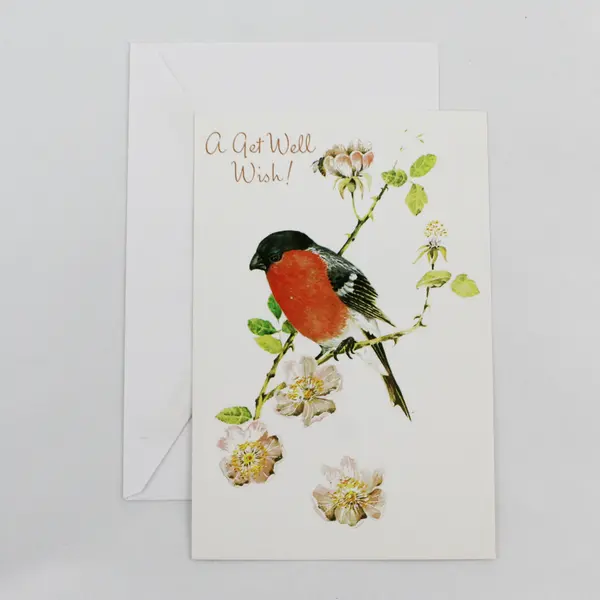 Vintage Fantusy Bird Get Well Greeting Card UNUSED