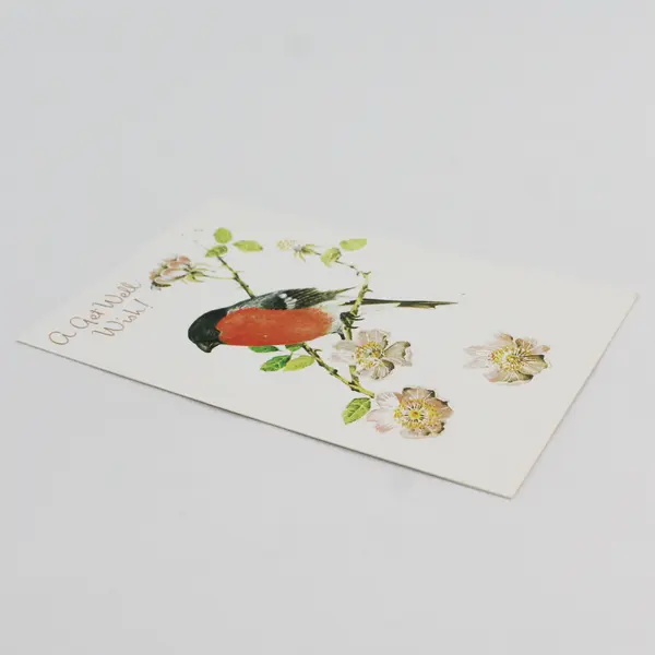 Vintage Fantusy Bird Get Well Greeting Card UNUSED