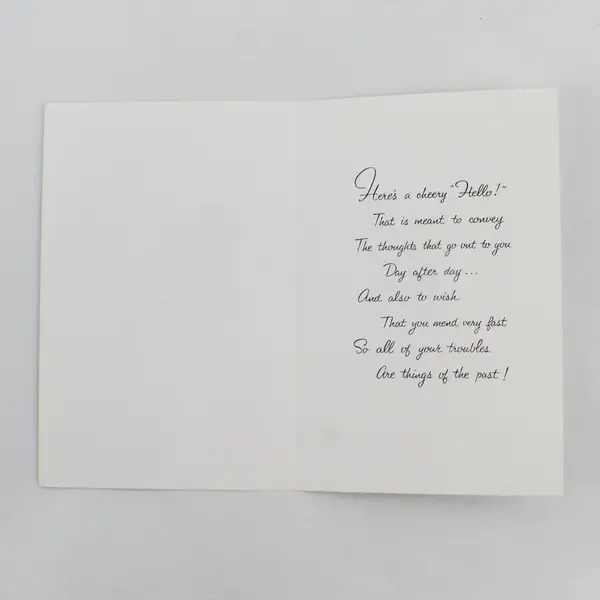 Vintage Fantusy Bird Get Well Greeting Card UNUSED