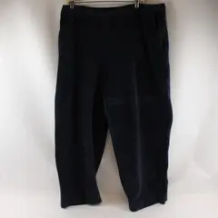L.L. Bean Women's 2X Blue Velour Corduroy Elastic Waist Pull-On Pants