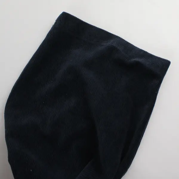 L.L. Bean Women's 2X Blue Velour Corduroy Elastic Waist Pull-On Pants