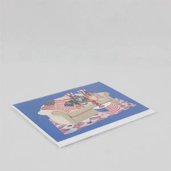 Imagekind USA Flag Dogs Patriotic Dachshund Notecard Unused