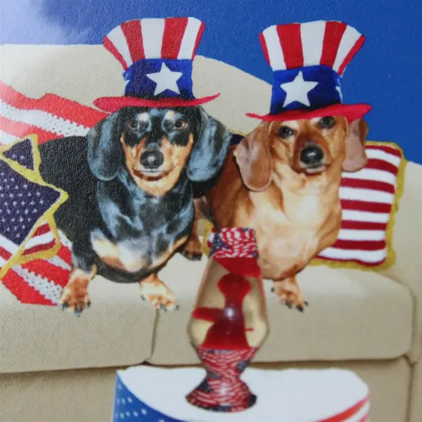 Imagekind USA Flag Dogs Patriotic Dachshund Notecard Unused
