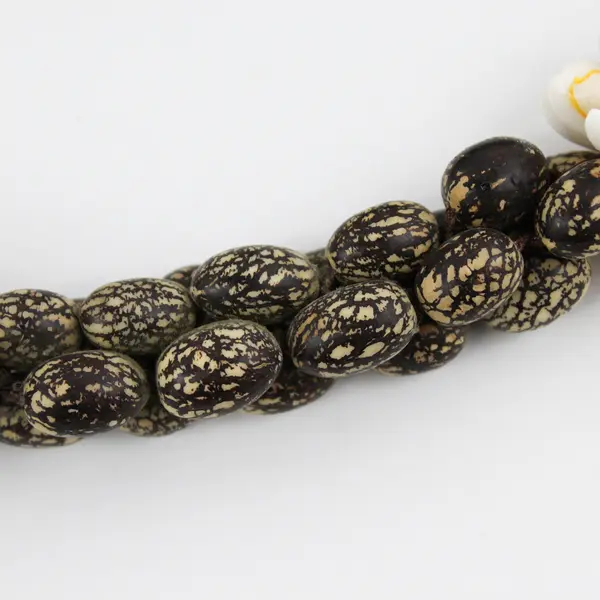 Handmade Multi-Strand White Cowrie Kukui Nut Lei Necklace 22in
