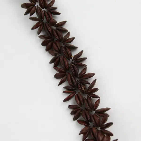 Handmade Long Brown Koa Seed Lei Necklace 26"