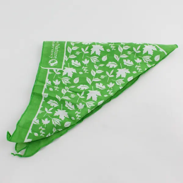 The Nature Conservancy Leaf Print Green Triangle Bandana Headscarf