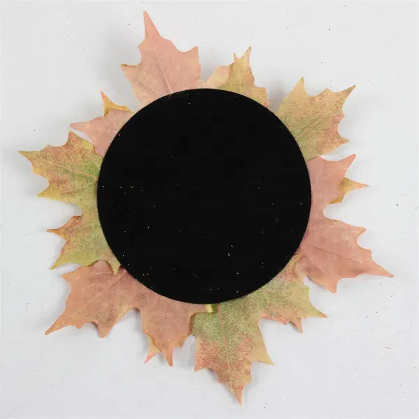 Set of 4 Autumn Maple Leaf Coasters 7"