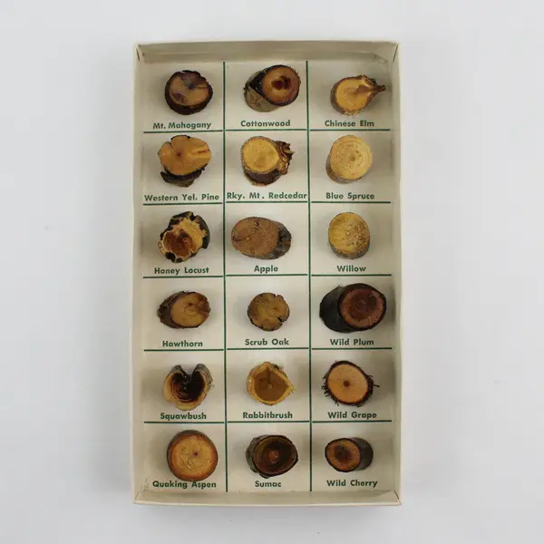 Western Woods Miniature Wood Samples 18 Species with Booklet by Gene Gray 1960s