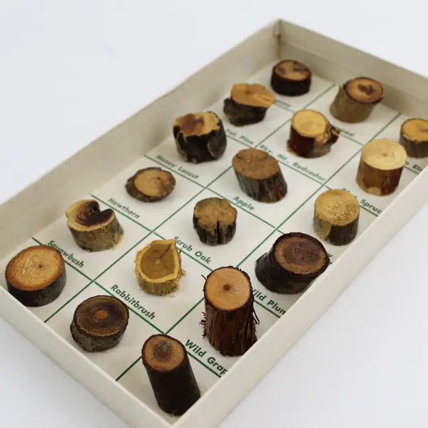Western Woods Miniature Wood Samples 18 Species with Booklet by Gene Gray 1960s