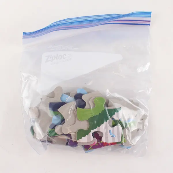 Cardinal Princess 24-Piece Puzzle