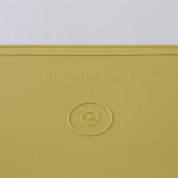 Vintage Tupperware Divided Keeper Tray 723-3 722-3 w/ Inserts No Lid