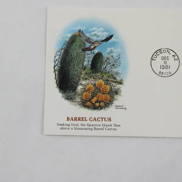 Set Of 5 Desert Plants Stamps 1981 FDC Fleetwood Cachet SC# 1942-45