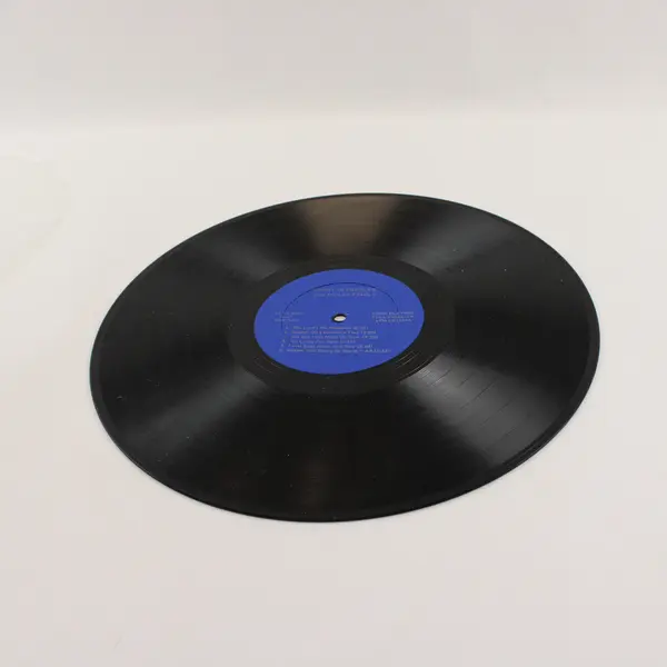  The Diller Family Honey in the Rock 12" Vinyl Record