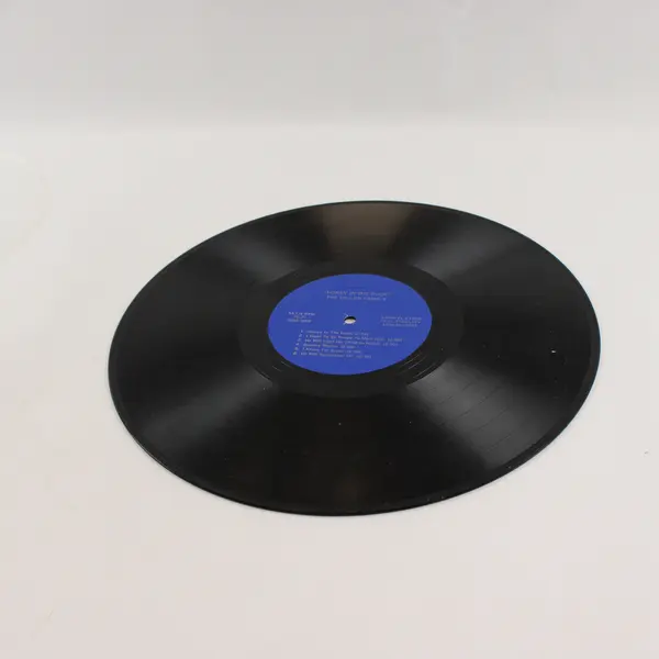  The Diller Family Honey in the Rock 12" Vinyl Record