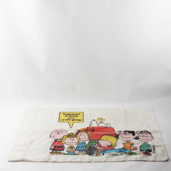 VTG 1971 United Feature Syndicate Peanuts Charlie Brown Standard Pillowcase FLAW