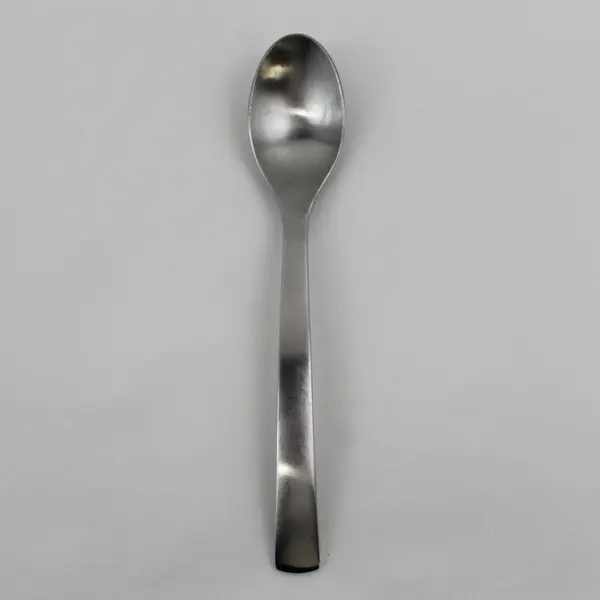 Gourmet Settings Park-Carry On Pattern 18/C Stainless Oval Soup Spoon 8.5" Long