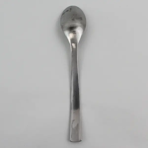 Gourmet Settings Park-Carry On Pattern 18/C Stainless Oval Soup Spoon 8.5" Long