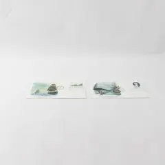 Set Of 2 Captain James Cook Bicentennial 1978 Stamp FDC Fleetwood Cachet 