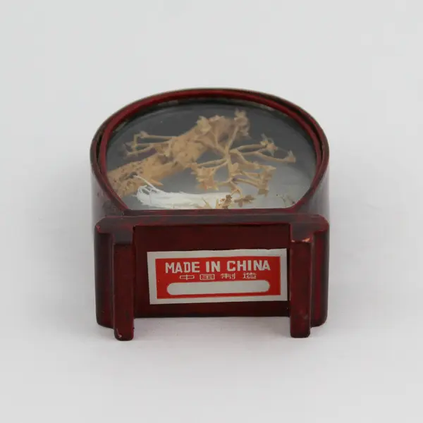 Small Framed Chinese Cork Diorama White Crane And Tree Scene