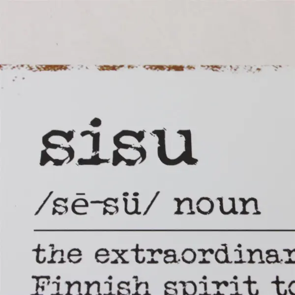 Metal Sign Finnish Word Sisu Rustic Vintage Wall Plaque