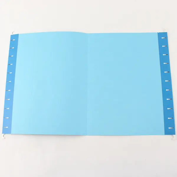 Pendaflex Letter Size Blue Hanging Folders Pack of 19