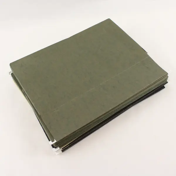 Lot of 10 Assorted Hanging File Folders Black Manila Beige Green