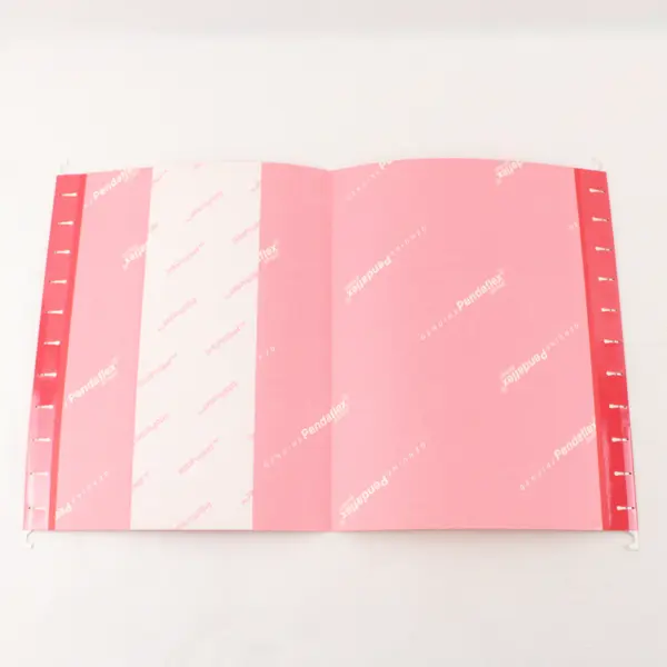 Lot of 18 Red Hanging File Folders Oxford Pendaflex