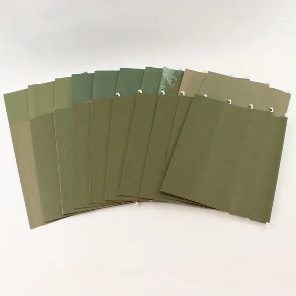Esselte EarthWise 74517 20 Green Hanging File Folders Used
