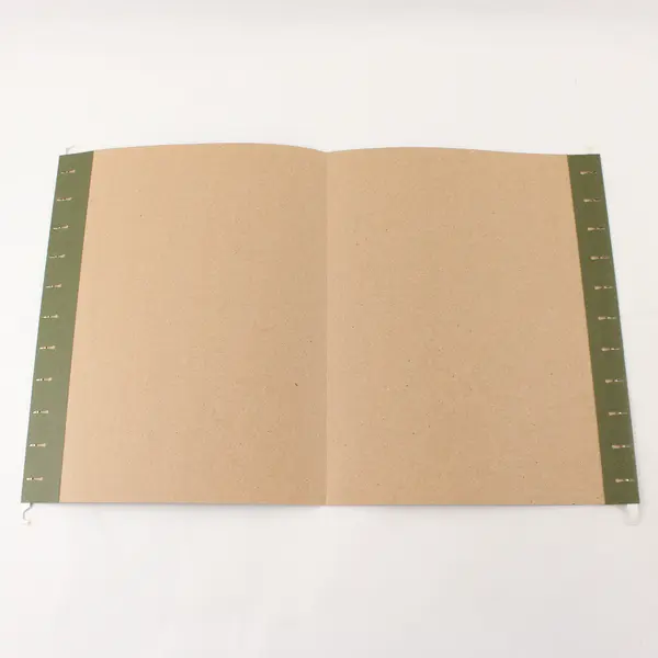 Esselte EarthWise 74517 20 Green Hanging File Folders Used
