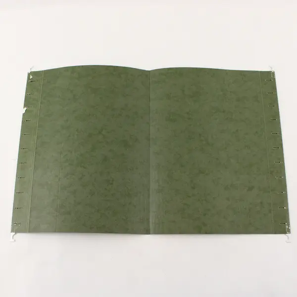 Lot of 17 Federal 15205 Green Hanging File Folders
