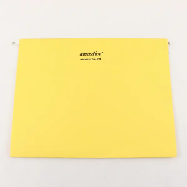 Executive Lot of 24 Hanging File Folders Blue Green Yellow Assorted