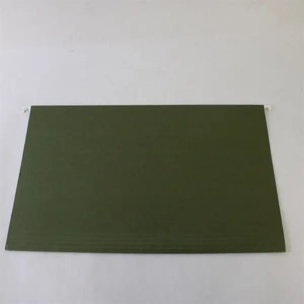 Globe-Weis Legal Size Lot of 21 Hanging File Folders