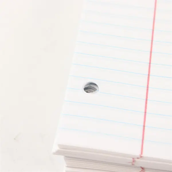 College Ruled Loose Leaf Notebook Paper Pre-Owned School Office Supply