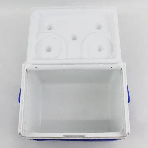 Vintage COLEMAN 5QT Personal Cooler Blue/White #5205 Flip Top Lunch Box USA 2001