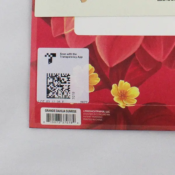 UNUSED Fresh Cut Paper Grande Dahlia Sunrise - Pop-Up Flower Bouquet