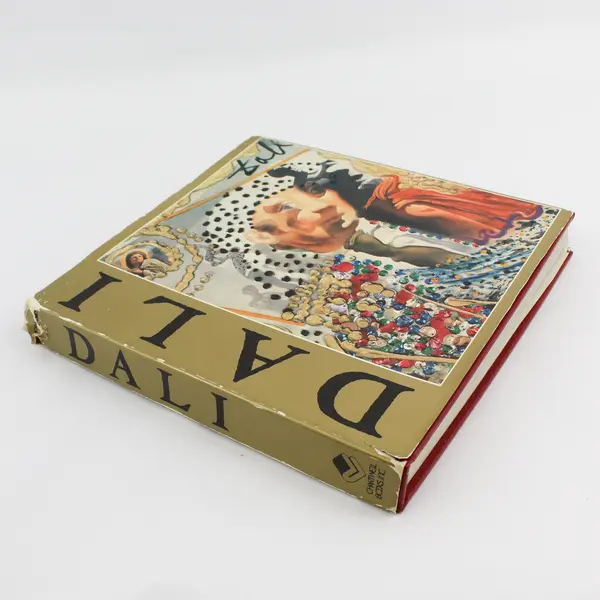 Vintage 1975 Biography Titled Dali by Luis Romero Hardcover Dust Jacket