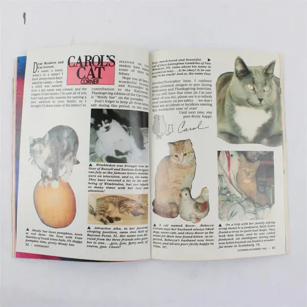 Vintage 1992 Lot of 6 The Workbasket and Home Arts Magazine Issues 