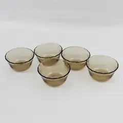 Set of 5 Pyrex 6-Ounce Fireside Smoky Glass Custard Bowls 463