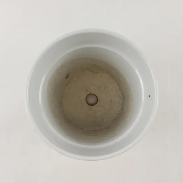White Ceramic Hand-Painted Butterfly Planter Pot 6in Decorative Succulent