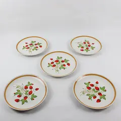 Vintage Strawberries 'n Cream Stoneware Dinner Plates Set of 5 9.5in