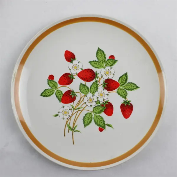 Vintage Strawberries 'n Cream Stoneware Dinner Plates Set of 5 9.5in