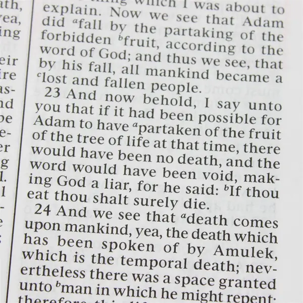 2013 Softcover Book The Book of Mormon Another Testament of Jesus Christ Good
