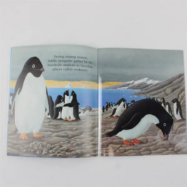 2 Scholastic Penguins Lot A First Discovery Book 2004 & Emily Bone 2012 PB