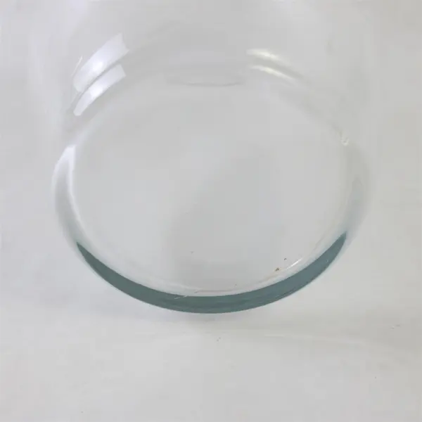 Lot of 2 Egg-Shaped Clear-Glass Flower Vases 7"