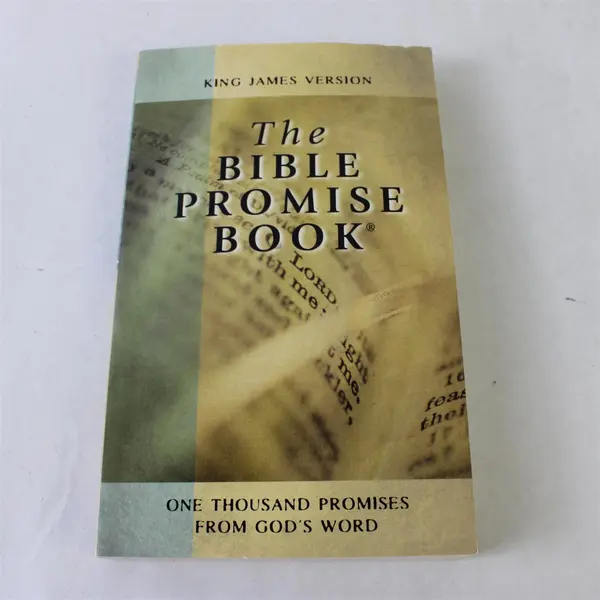 Vintage 1990 The Bible Promise Book King James Version Paperback 
