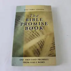 Vintage 1990 The Bible Promise Book King James Version Paperback 