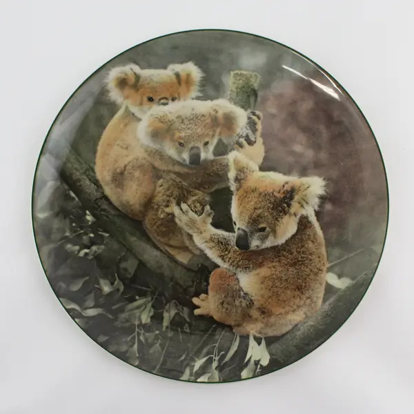 Royal Doulton Australian Views Koala Bears Collector Plate D6424 England